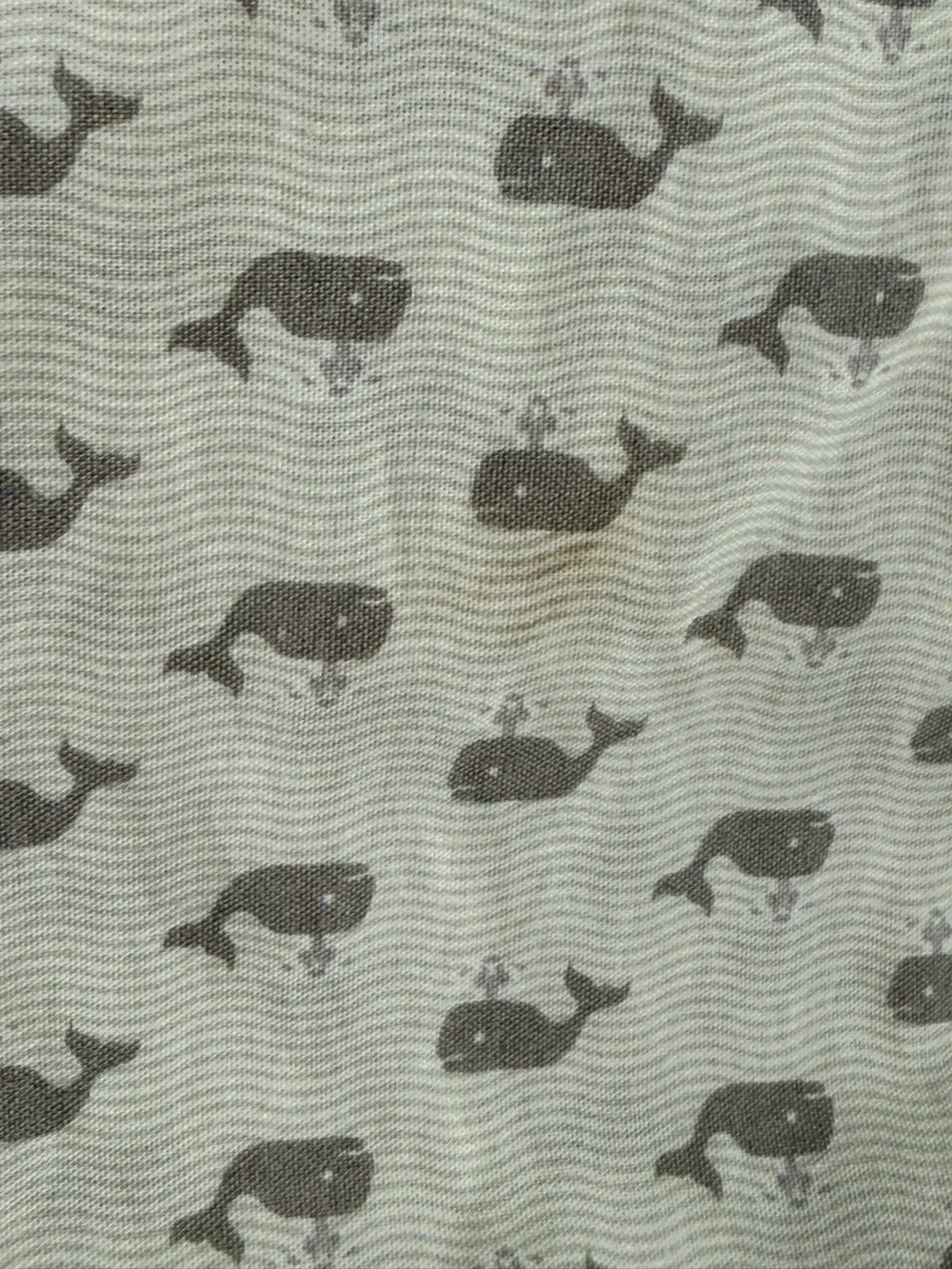2 Tommy Hilfiger Standard Pillow Cases Shams Whales
